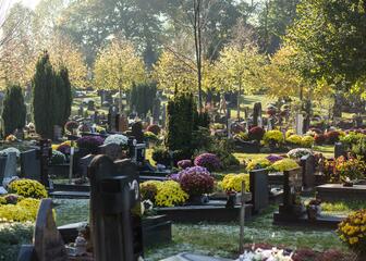 Overzichtsfoto van talloze graven, mooi gedecoreerd met bloemen.