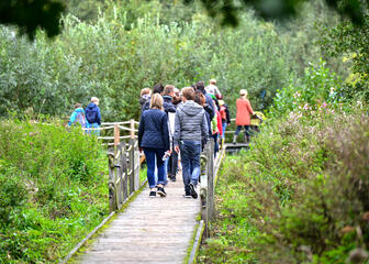 Bezoekers stappen over een brugje in het natuurgebied.