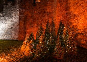 kerstbomen op het binnenplein van het gravensteen kasteel gent