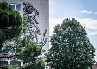vijver met daarachter bomen en groen, een gebouw met een street art van dierenskeletten van roa 