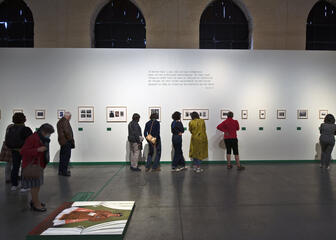 Visitors viewing pictures