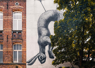 Street art werk van een grote haas door ROA in Gent