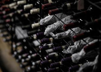 Rack with wine bottles
