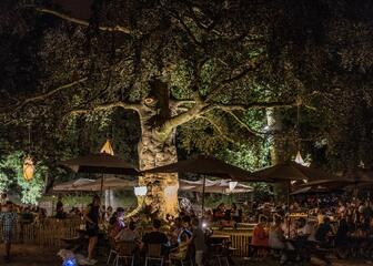 Acogedor bar de verano bajo los árboles