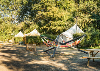 Hängematten und Zelte auf Camping Urban Gardens Blaarmeersen