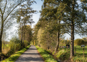 Wanderweg im Naturschutzgebiet De Bourgoyen