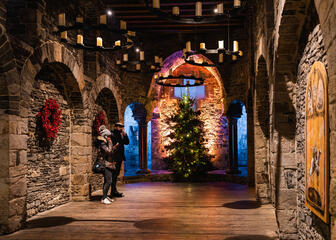 Weihnachtsbäume im Inneren des Gräflichen Schlosses