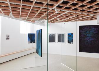 Renée Peverangie Tim Bruggeman-Duoshow. Glass walls and holding grid ceiling with wooden bench