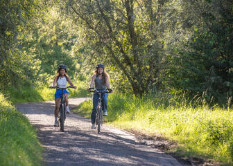 2 fietsers fietsen door een bos op een verharde weg