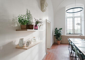 Pequeña sala de reuniones con plantas y sacos de café en una estantería de madera, mucha luz