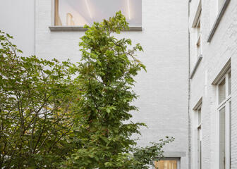 Binnentuin met verschillende bomen van Design Museum Gent.