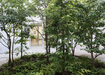 Binnentuin met verschillende bomen en planten ontworpen door Bas Smets voor Design Museum Gent.