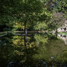 Idyllisches Bild aus dem Citadelpark. In der Mitte befindet sich ein Teich, umgeben von verschiedenen grünen Bäumen, die sich im Wasser speigeln.