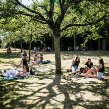 Groepjes mensen die picknicken op het gras onder de bomen bij St-Pietersabdij.