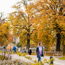 Persona paseando por un parque en otoño