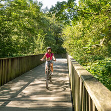 Radfahrer fährt über eine flache Brücke in einem Wald