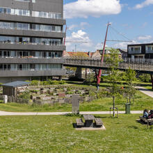 Deel van het park met appartementsgebouw