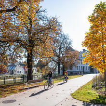Zwei Personen beim Radfahren im Herbst