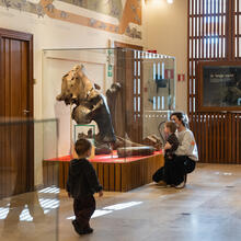 Gezin op bezoek in het museum Kina